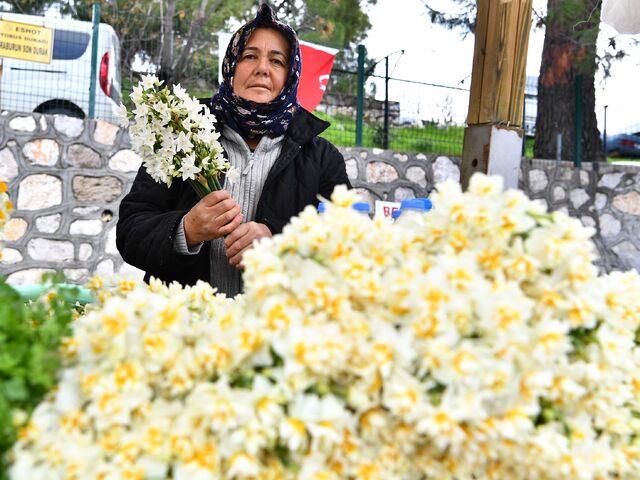 Karaburun Nergis Festivali Turu