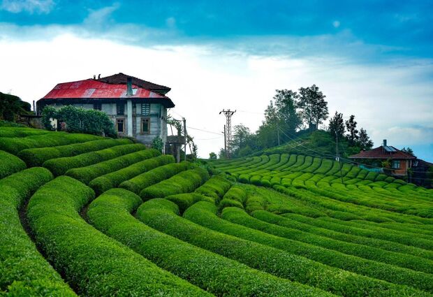 Kurban Bayramı Özel !! Doğu Karadeniz Turu ( 4 Gece Konaklamalı )