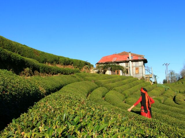 Kurban Bayramı Özel !! Doğu Karadeniz Turu ( 4 Gece Konaklamalı )