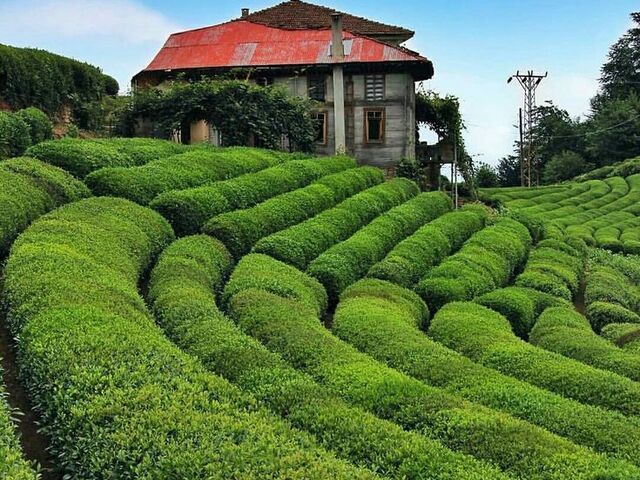 19 Mayıs'a Özel ! Doğu Karadeniz Turu ( 3 Gece Otel Konaklamalı )